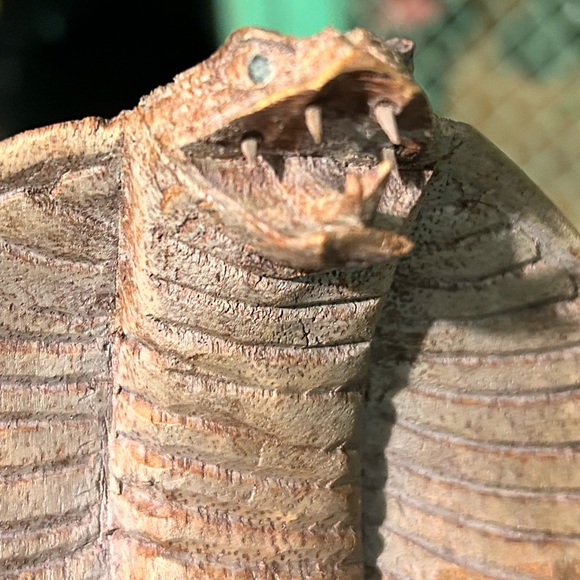 Vintage Set Of 4 Hand Carved Wood Cobras  Statuettes King Cobras Large Small - Picture 13 of 16